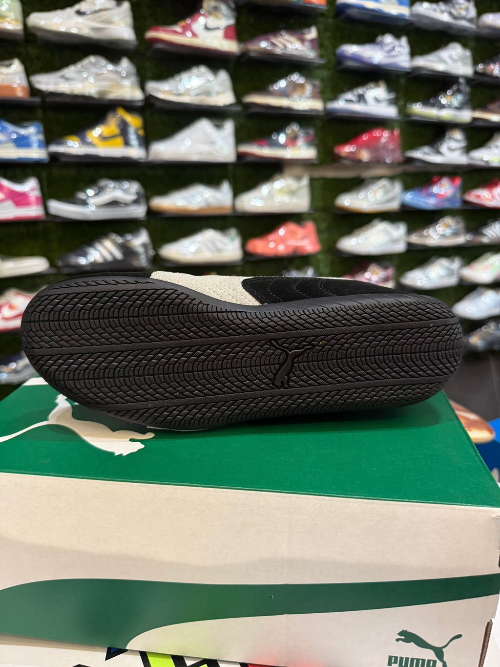 Puma speed cat