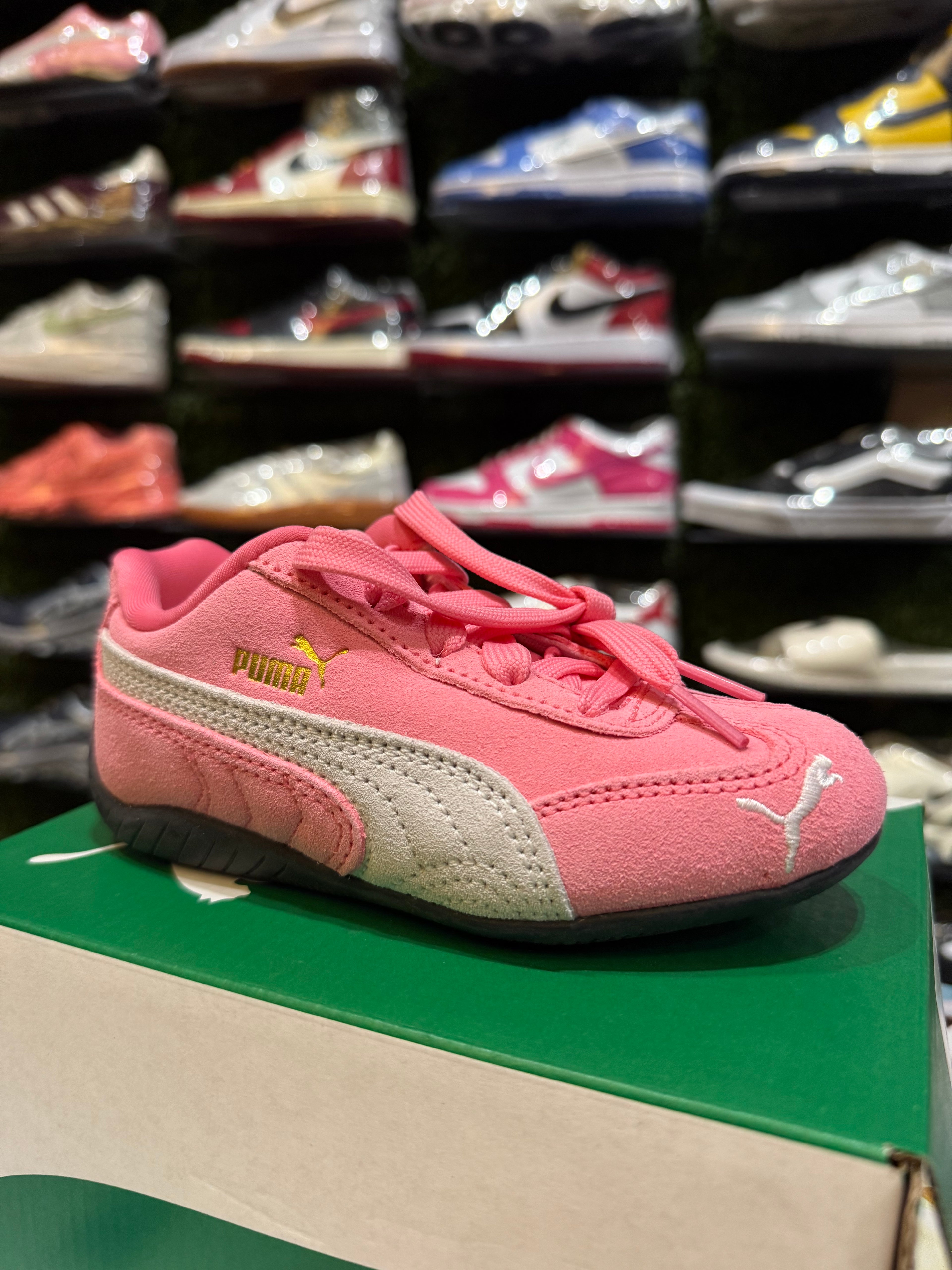 Puma speed cat