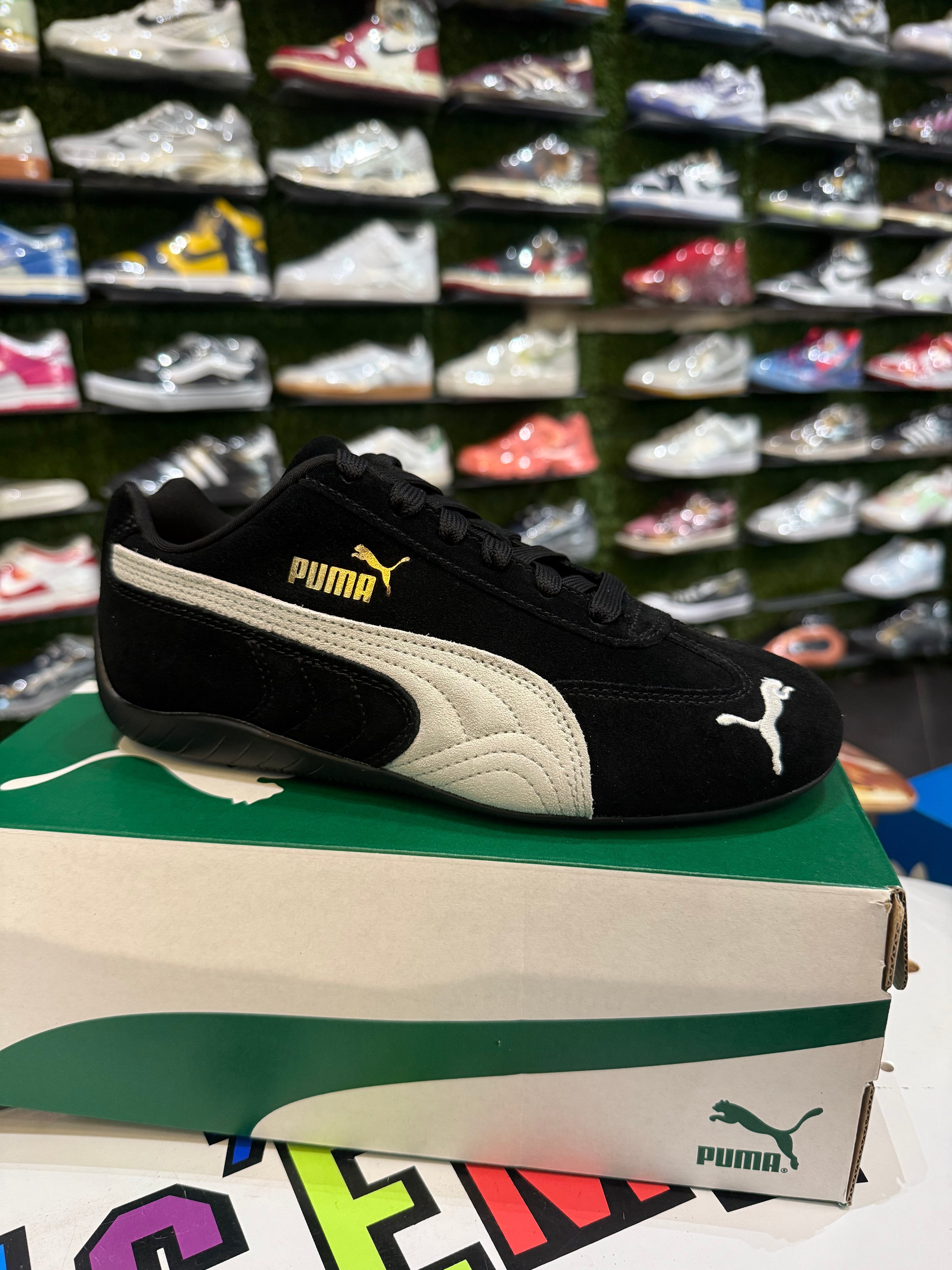 Puma speed cat