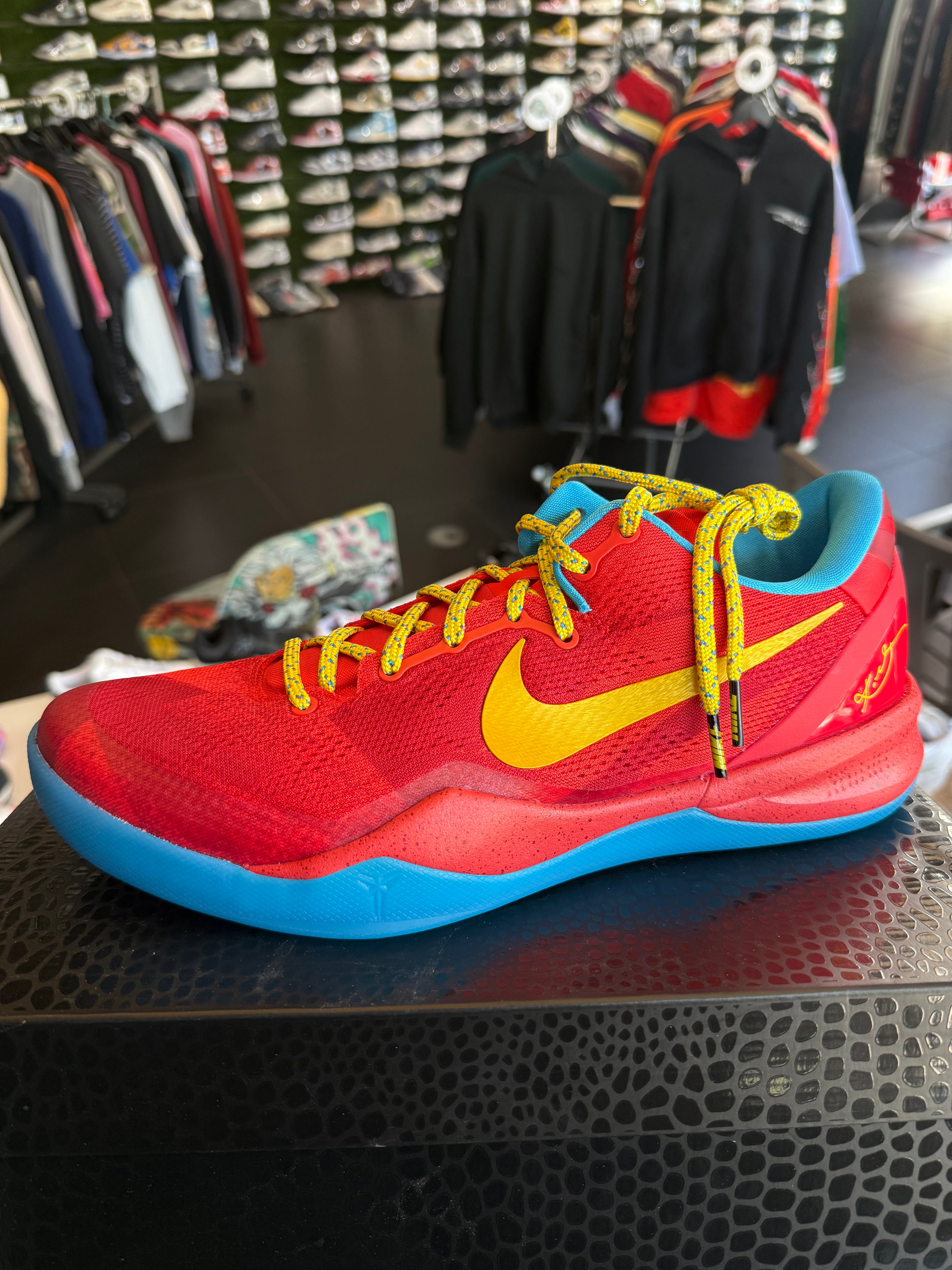 Kobe 8 year of horse