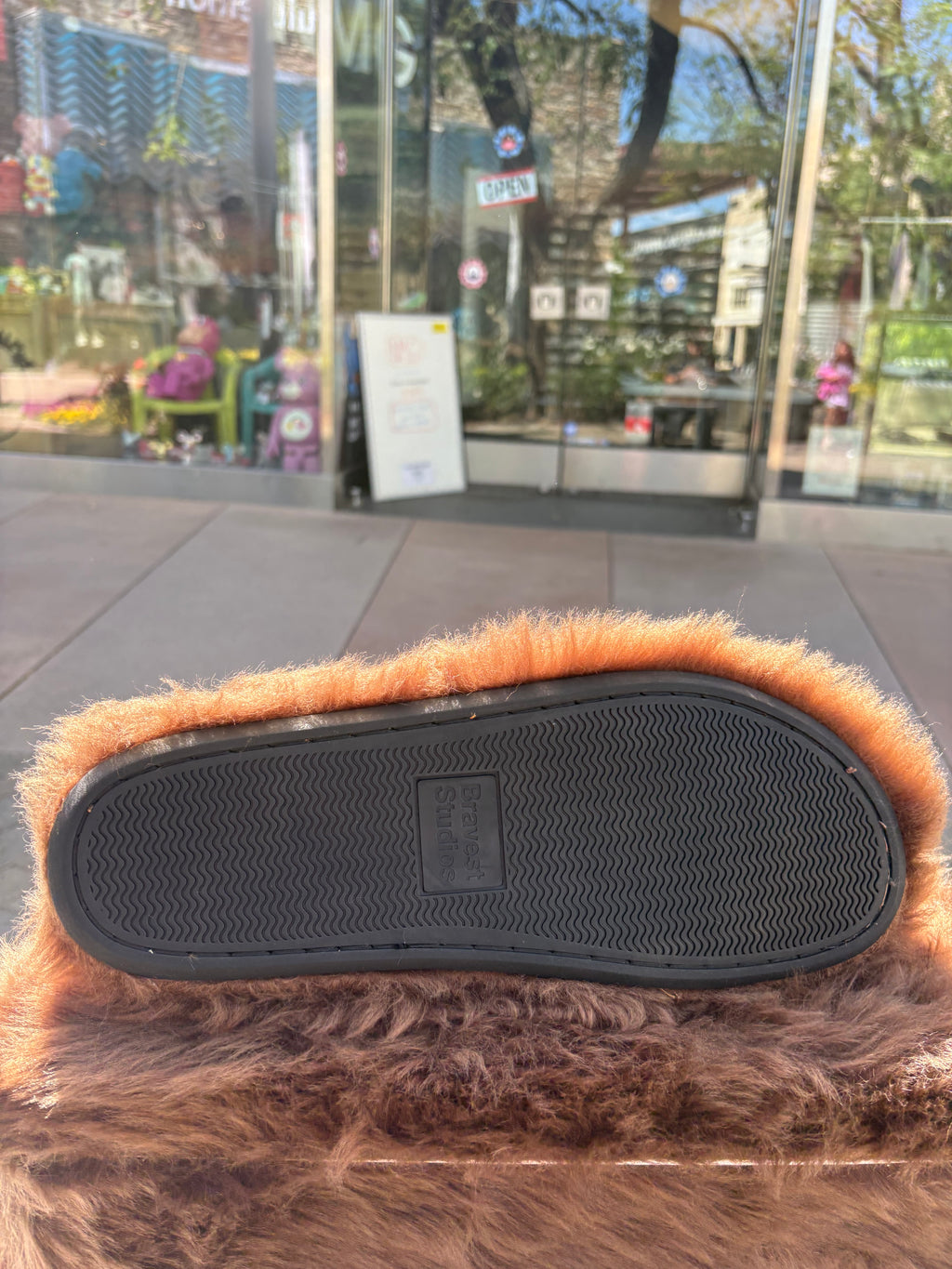 Bravest studio Bear slides