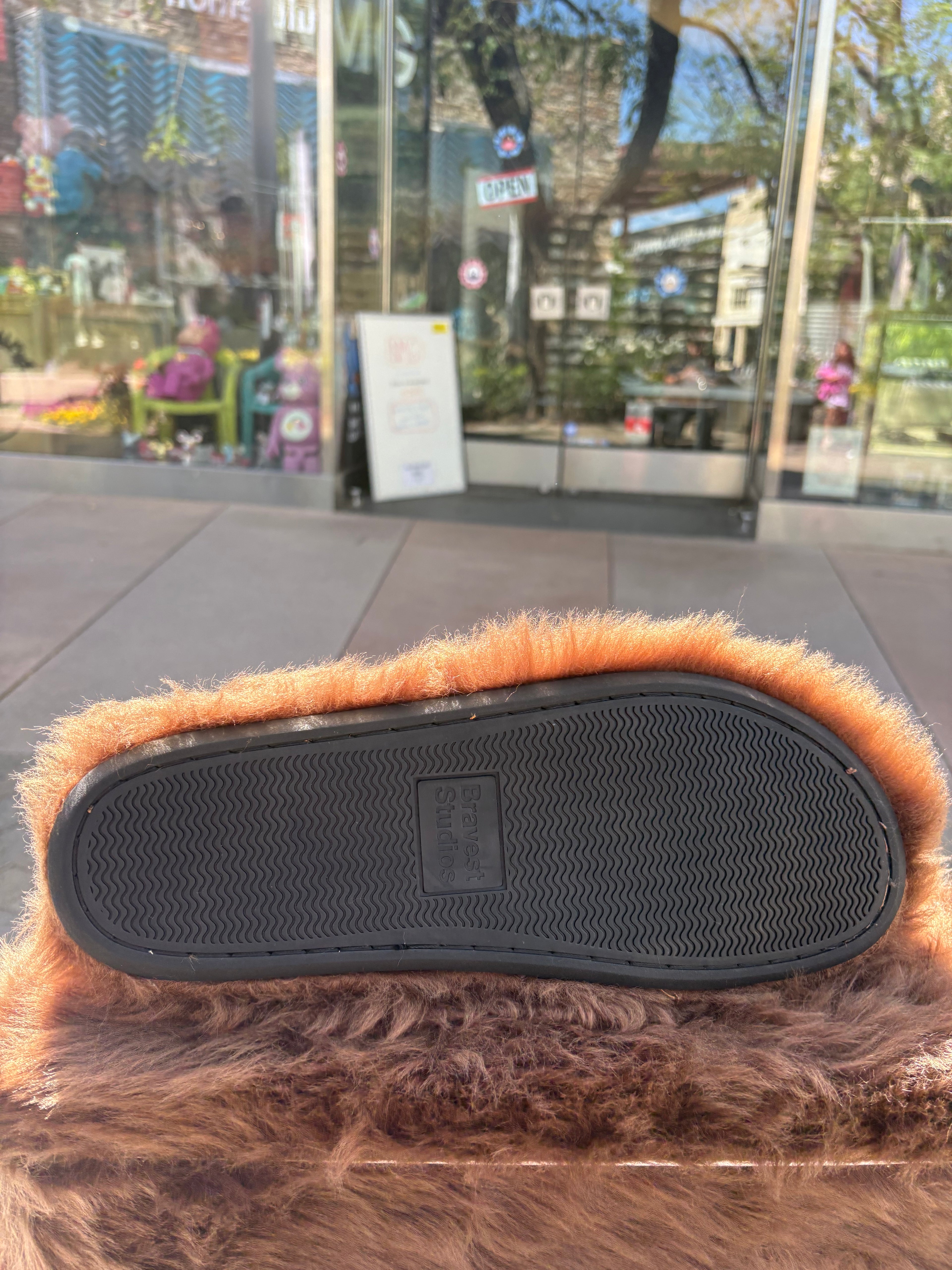 Bravest studio Bear slides